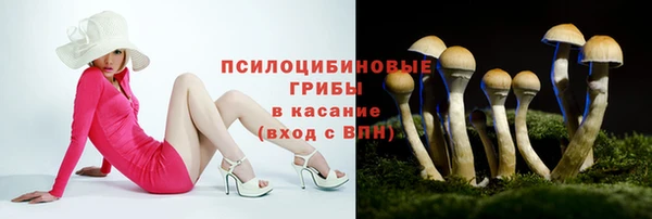 соль ск Карпинск